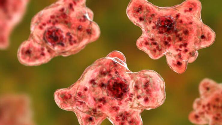 ABD’de 2 yaşında bir çocuk “beyin yiyen amipten” öldü